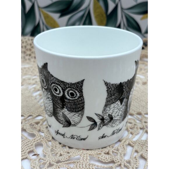 Rose of England Fine Bone China Mug OWLS See No Evil Hear No Evil Speak No Evil - Picture 2 of 6